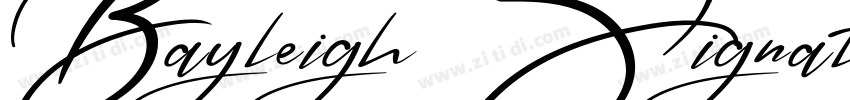 Bayleigh Signatures字体转换